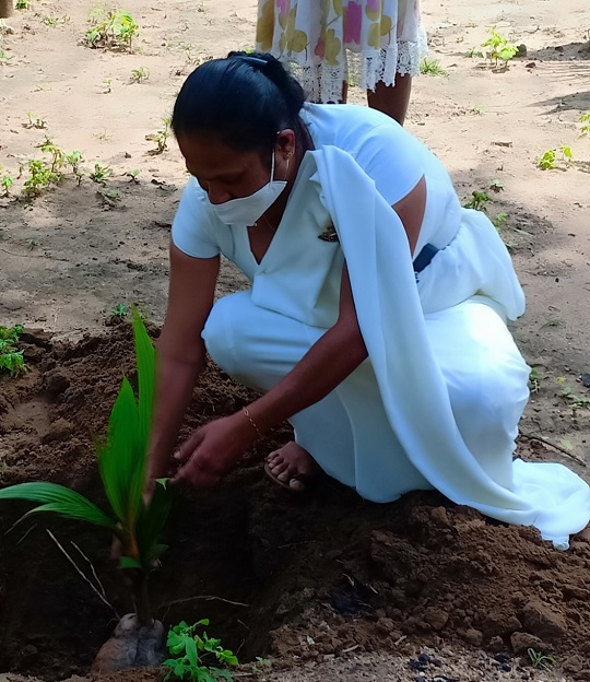 Mahadivulwewa