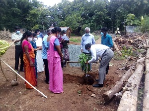 කස කට බටහර 4