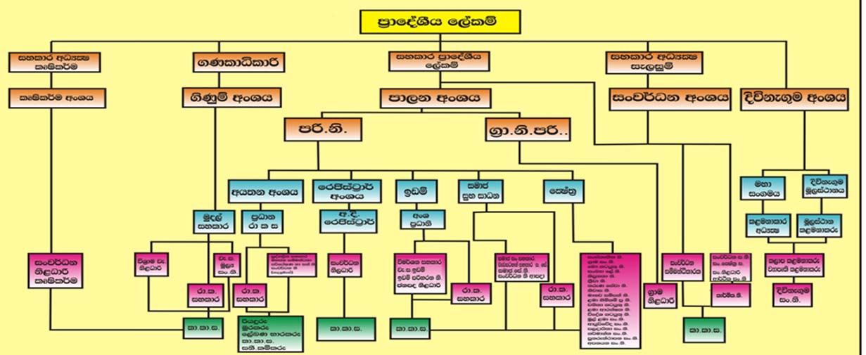 Ambanpola organization structure